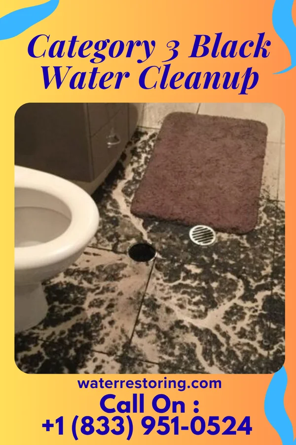 Category 3 Black Water Cleanup in Cabana Colony, FL